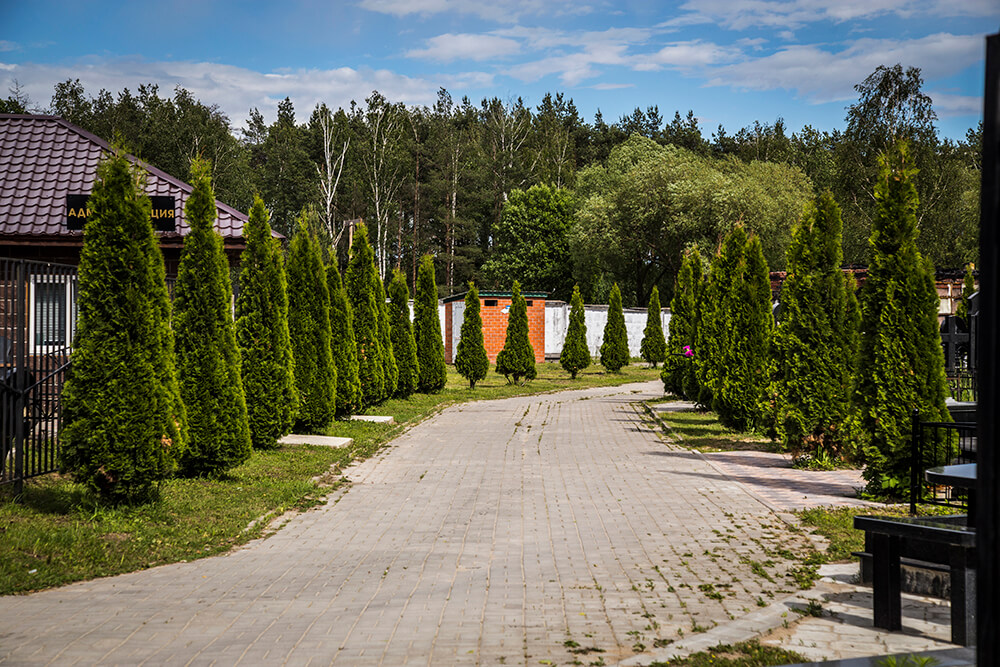 Фото: Новодеревенское кладбище (Балашиха)