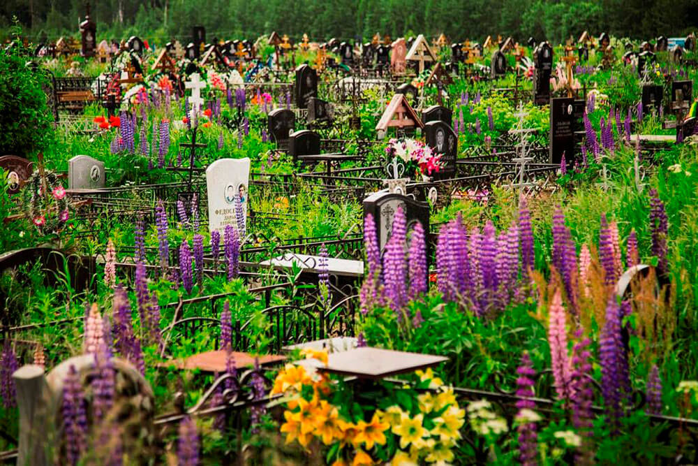Богородское кладбище. Фото 6