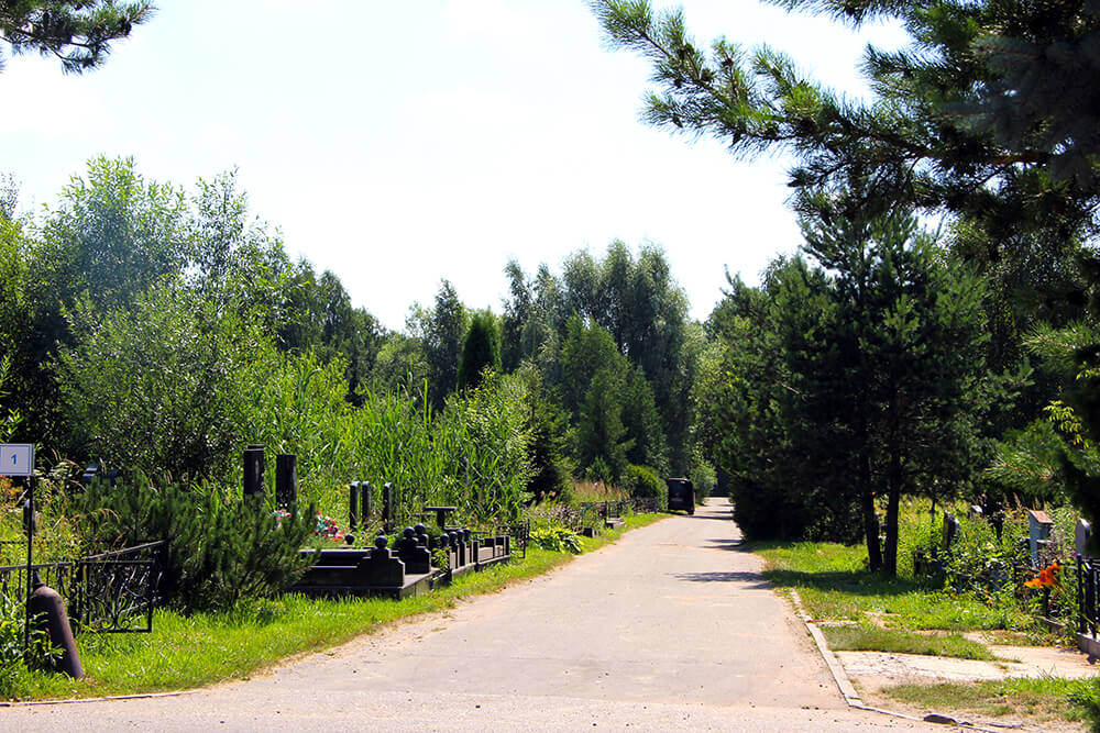 Лайковское кладбище. Фото 10