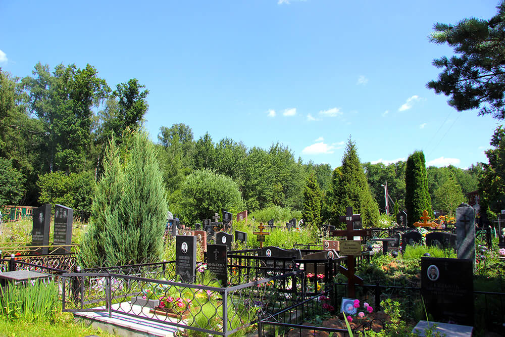 Лайковское кладбище. Фото 7